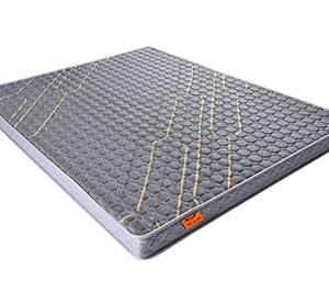 Sản phẩm mới chuẩn bị ra mắt 2026