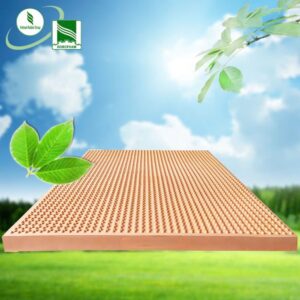 Nệm cao su lạnh massage công nghệ mới